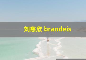 刘慈欣 brandeis